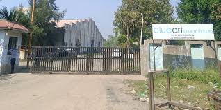 Blueart Granito Pvt Ltd