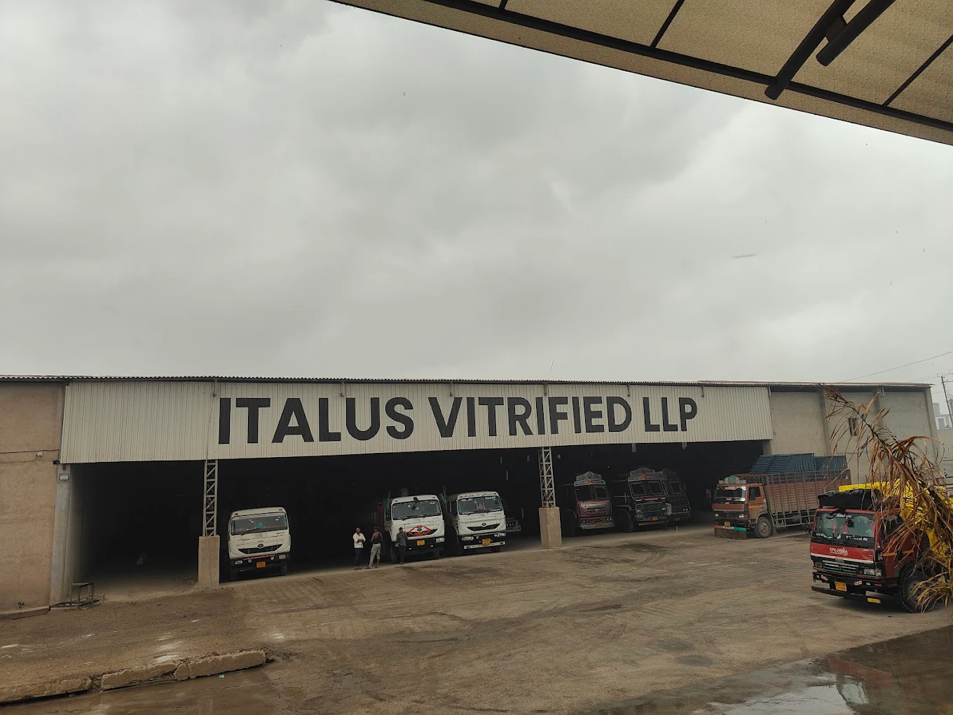Italus Vitrrified LLP