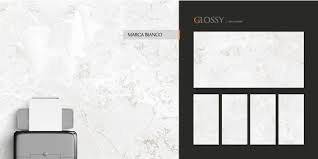 Hawk Granito Pvt Ltd